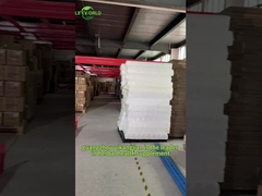 Zeaxanthin Göz Vitaminleri Takviyesi Gözleri Koruyun Retinal Koruma